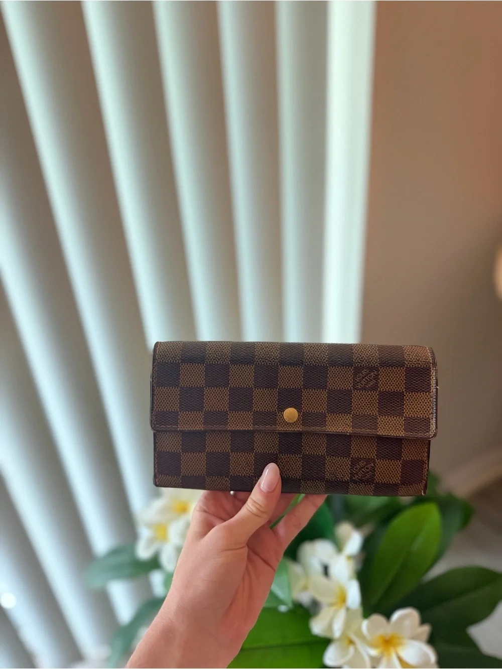 Louis Vuitton Epene Damier Women's Wallet Clutch